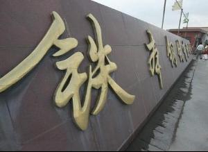 戴国芳，这个极具符号意味的人物，是十余年来转型中国的独特注脚。  　　他曾因谋求生活出路而痴情钢铁行业，白手起家从一无所有做到了2003年公司年销售收入25亿元、入选当年中国400富人榜第376位，家族和人生梦想如绚烂烟花绽放。