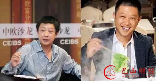 白手起家  王健林
