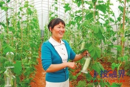四川80后女孩5000元创业故事