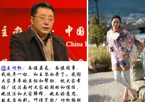 2011年5月16日，鼎晖创投合伙人王功权在新浪微博上发布消息称：“放弃一切，和王琴私奔了”，因为此事，私奔体走红网络。网友迅速八卦出王琴为江苏中孚投资创始人，34岁;而中孚投资公司曾多次受聘于鼎晖，为其投资银行以及投资项目尽职调查。在私奔42天后，王功权低调回家，他在自己的微博上说：“再尴尬的事情也要面对。王琴建议并送我回到北京处理家里事情。”目前，王功权涉嫌聚众扰乱公共场所秩序而被刑事拘捕。 