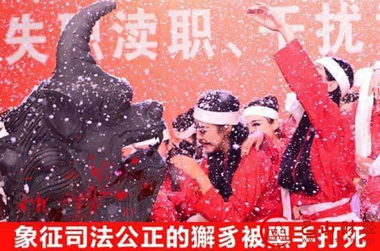 浙江高院,宋城集团,举报,齐奇