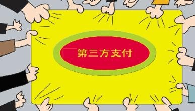 央行 限额网络支付 原因
