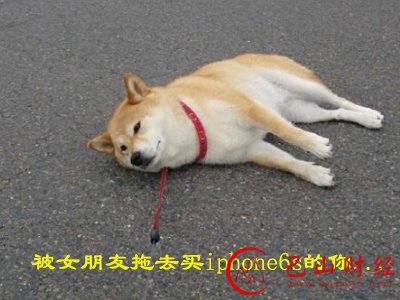 iphone6s,老婆,女朋友,玫瑰金