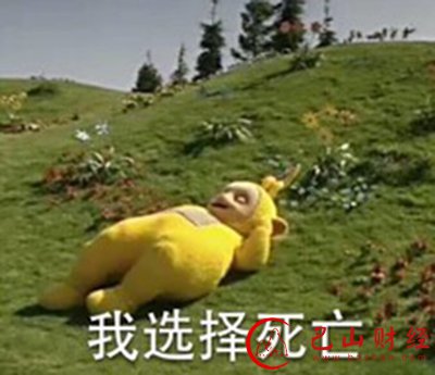 iphone6s,老婆,女朋友,玫瑰金
