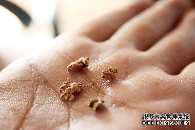 2012年11月,中国淘金者在库马西采到的大颗
粒金子。
