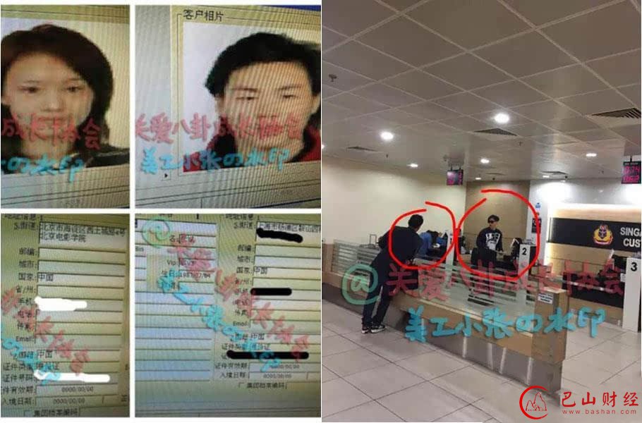 郑爽,张翰,娜扎,胡彦斌